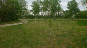 Obststadt Szene