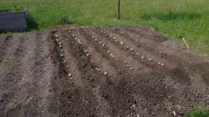 Obstgarten-Ausstattung